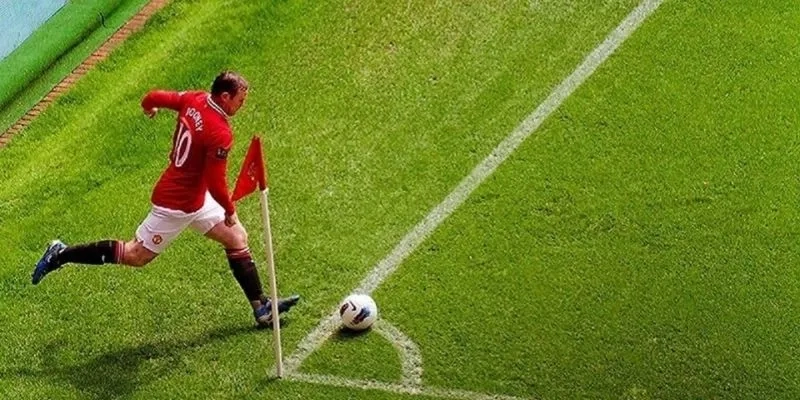 Tổng hợp các loại cược phổ biến tại nhà cái